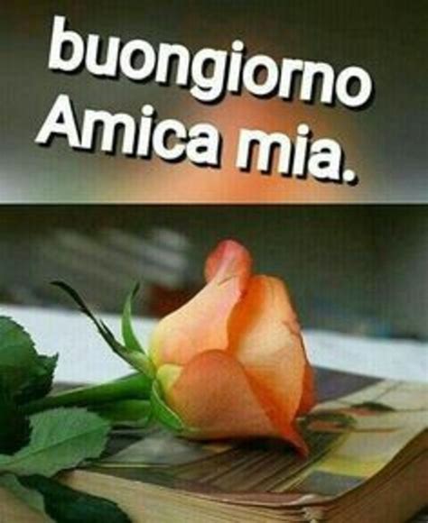 buongiorno amica mia|good morning my love in italian.